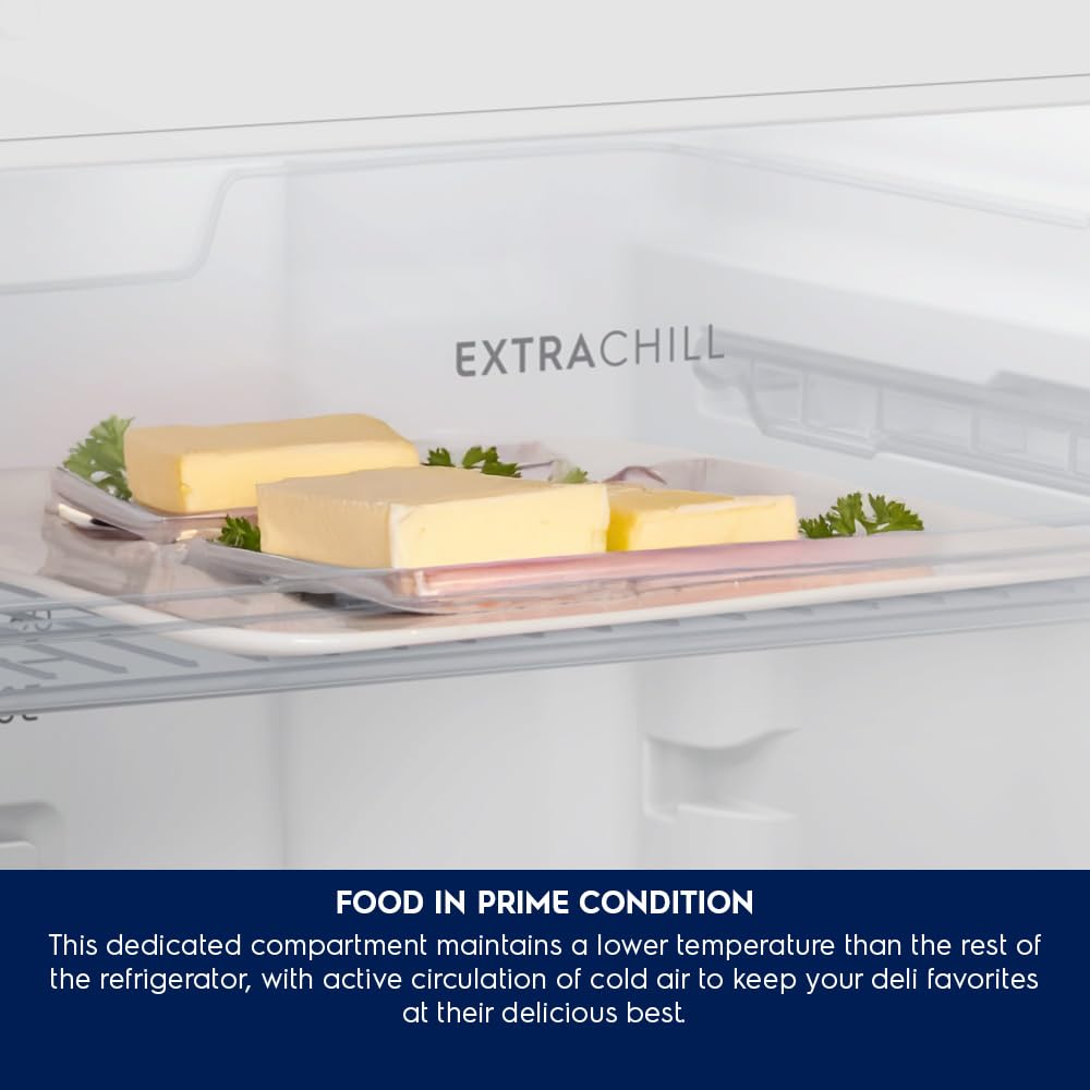 ELECTROLUX Medium Top Freezer Refrigerator ETM4302C-S