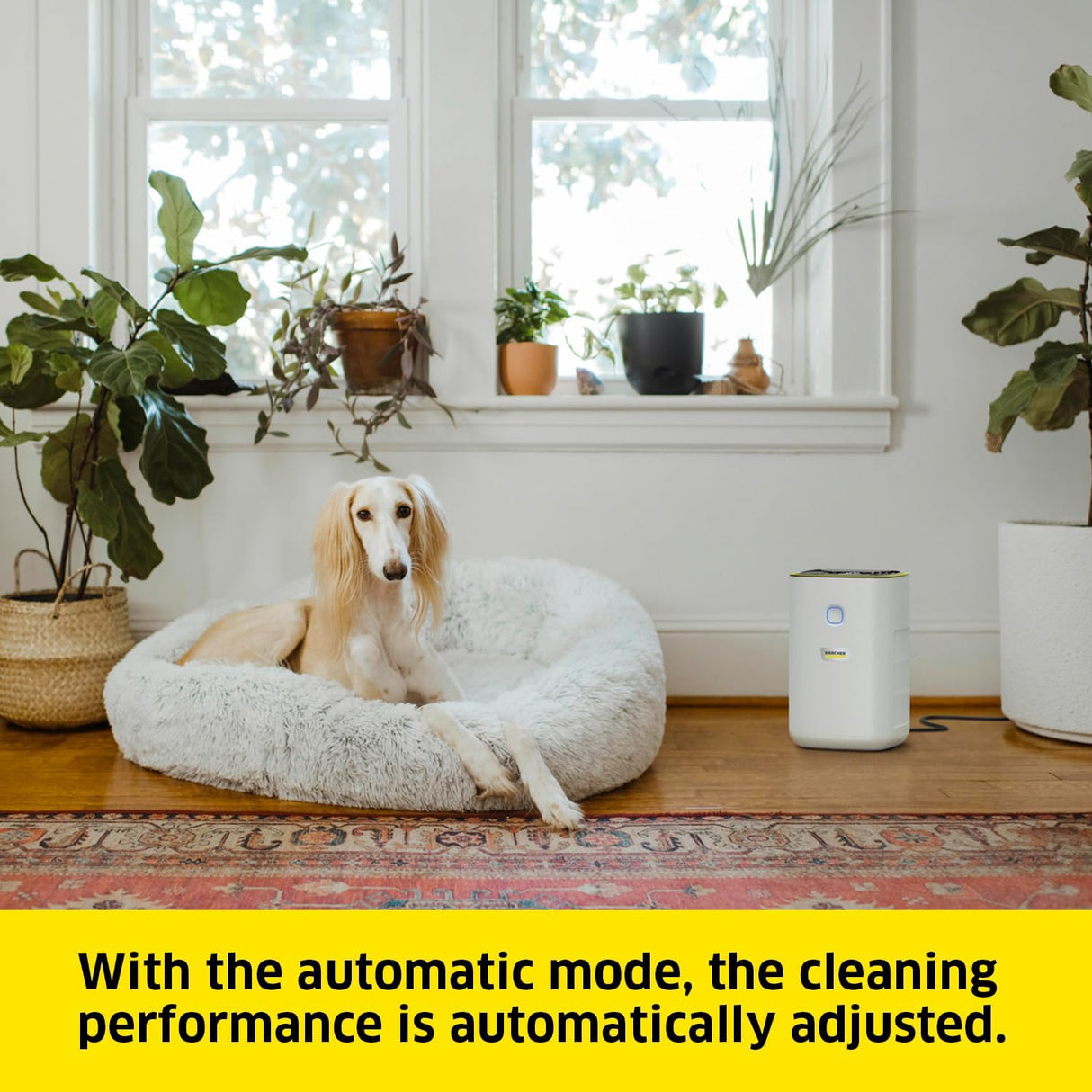 KARCHER Air Purifier AF 20 1.024-823.0