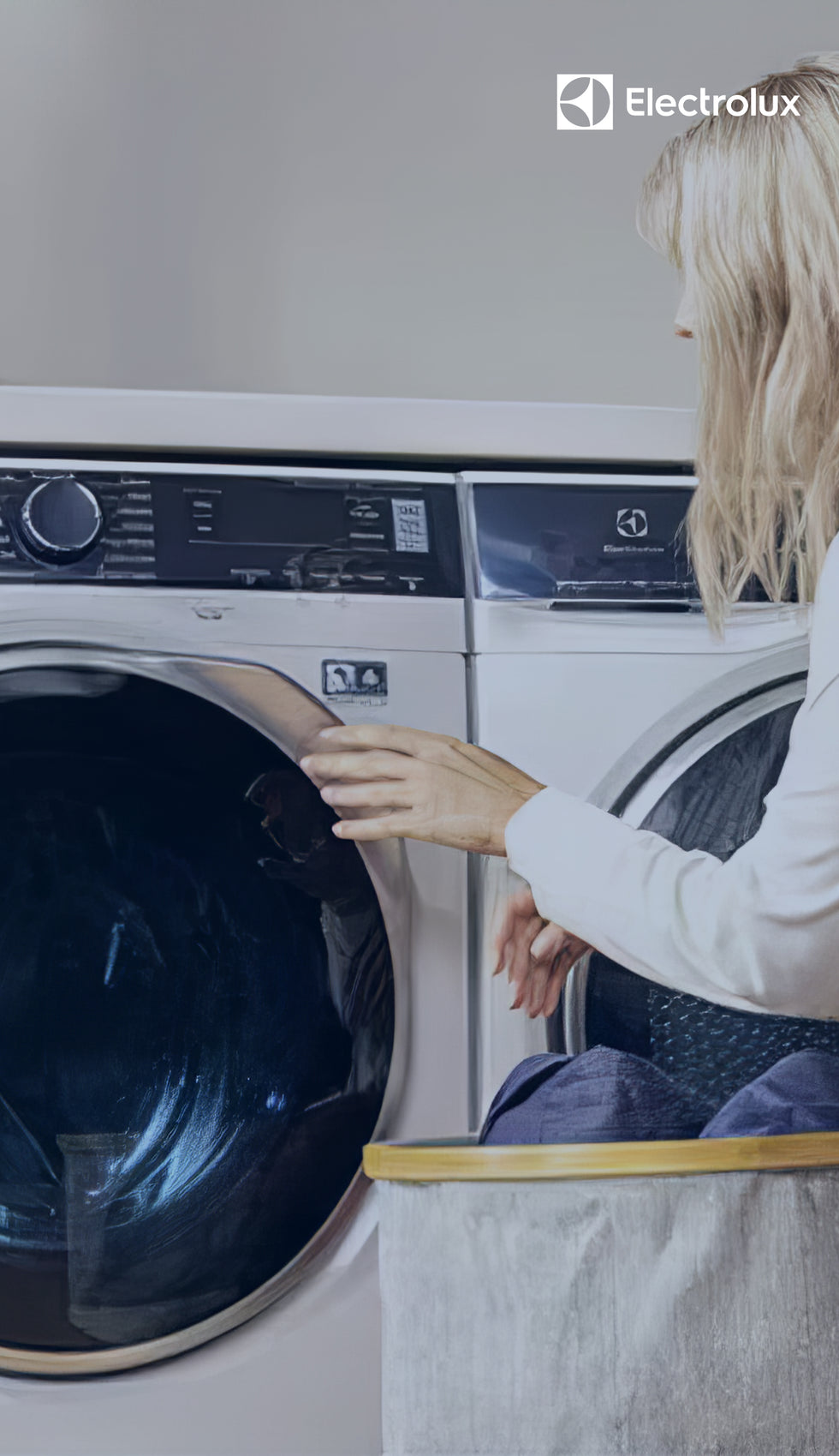 Electrolux-Magnet-shop-fattal-online