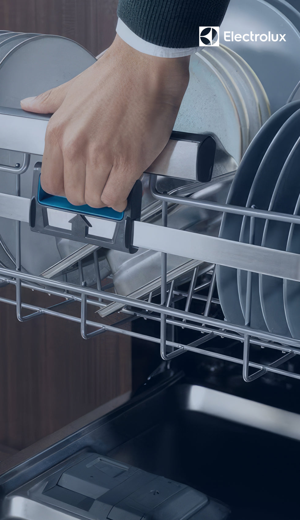 Electrolux-Magnet-shop-fattal-online