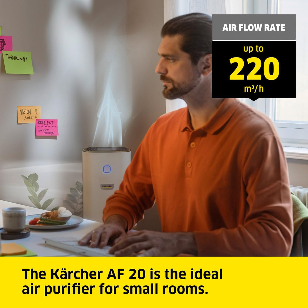 KARCHER Air Purifier AF 20 1.024-823.0