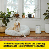 KARCHER Air Purifier AF 20 1.024-823.0