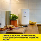 KARCHER Air Purifier AF 20 1.024-823.0